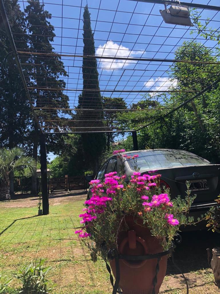 Ezeiza Quinta Cedro Azul 10 Min Del Aeropuertoヴィラ エクステリア 写真